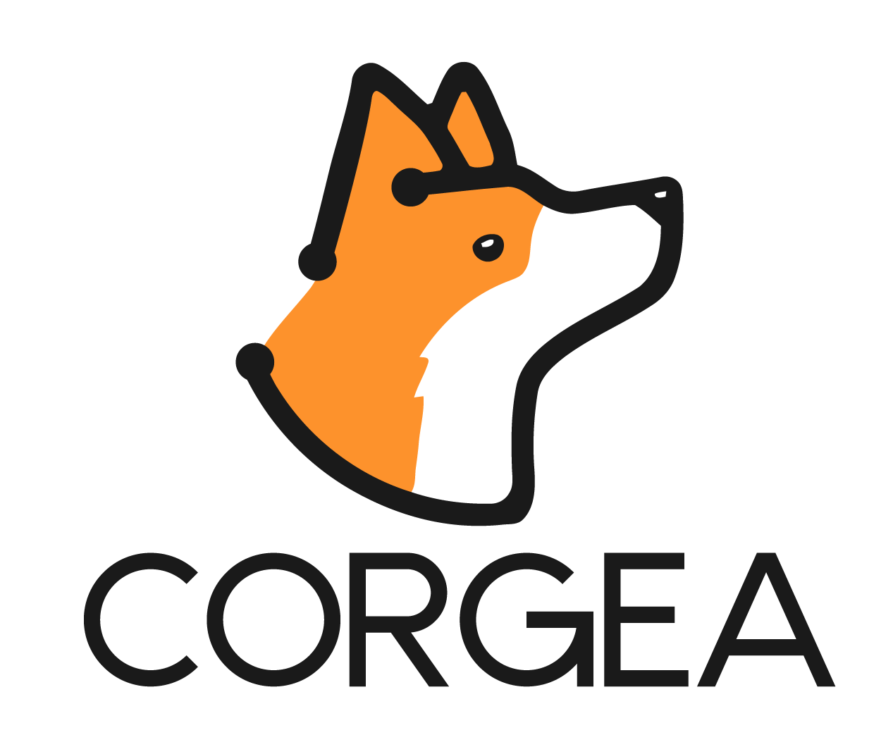 corgea (7)